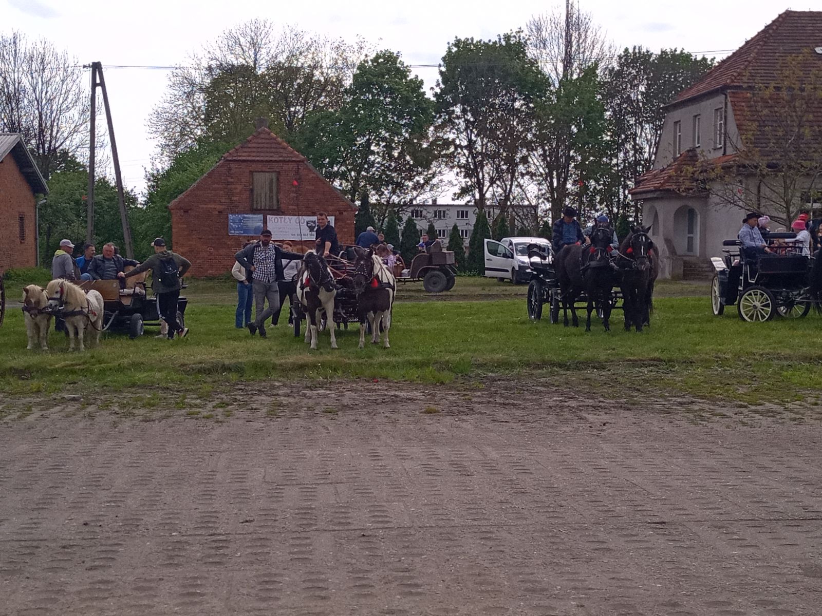 Targi rolno-ogrodnicze w Przygodzicach – fotorelacja